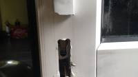 Anti snap locks for upvc doors